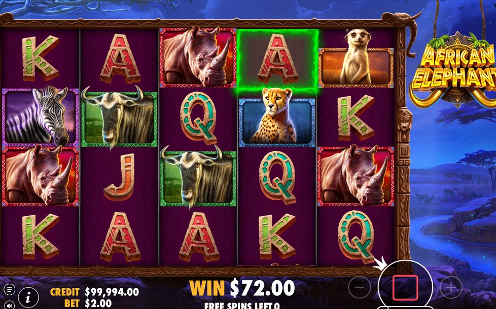 Free Spins med nattlig savann och specialrullar
